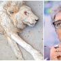 Ali Zaidi criticises Sindh govt for ‘beyond pathetic’ conditions of Karachi Zoo