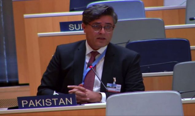 Pakistan calls for ‘fully equipped’ global accord to fight pandemics
