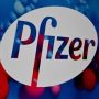Pfizer asks US to authorize Covid pill: statement
