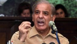 Shehbaz Sharif PML-N president