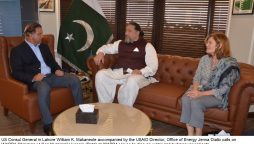 US team, Wapda chairman discuss hydropower projects