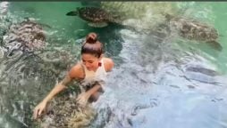 WATCH: Ayesha Omar vibin’ with the turtles