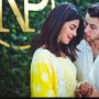 Throwback: Priyanka Chopra-Nick Jonas performs aarti at home