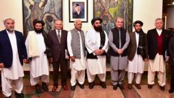 FM Qureshi urges Taliban to keep watch on anti-peace elements