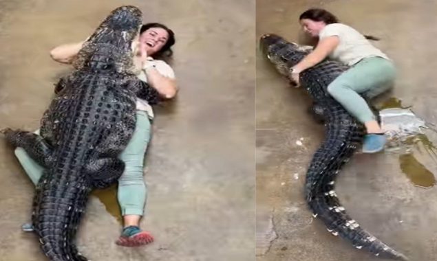 Watch: A huge alligator hugs its human friend gone viral