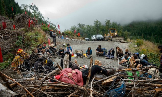 Mud, anger and police — the battle over Canada’s old-growth forests