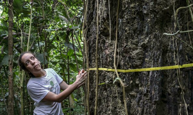 ‘We can’t live in a world without the Amazon’: scientist