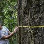 ‘We can’t live in a world without the Amazon’: scientist