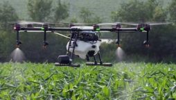 Aussie agricultural sector being undermined by frauds: Report