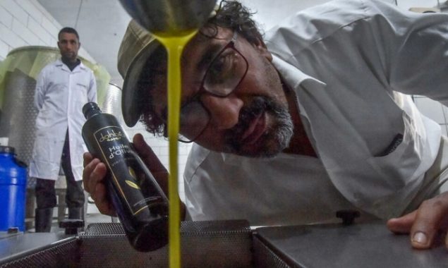 Algerian farmer’s olive oil wins global recognition