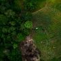 Indigenous lands block Brazil deforestation: study