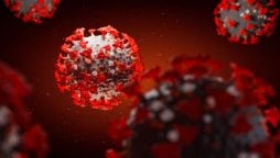 South Africa covid variant detected