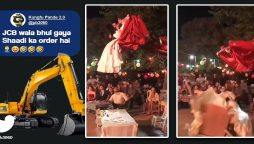 Watch video: Couple falls from excavator seat on their wedding reception