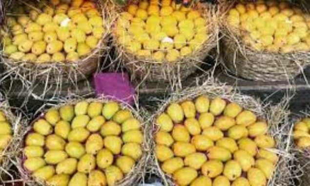 Pakistani mango exports to China increased more than 10 times