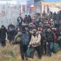 Syrian migrant found dead on Poland-Belarus border