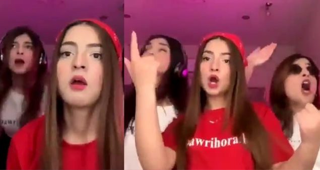 ‘Pawri girl’ Dananeer Mobeen’s dance video in wedding goes viral
