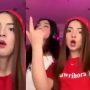 ‘Pawri girl’ Dananeer Mobeen’s dance video in wedding goes viral