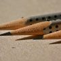 Andhra boy file a complaint of his friend for stealing pencil nibs