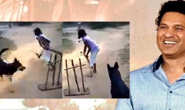Dog's "sharp catching skill" makes Sachin Tendulkar impressed