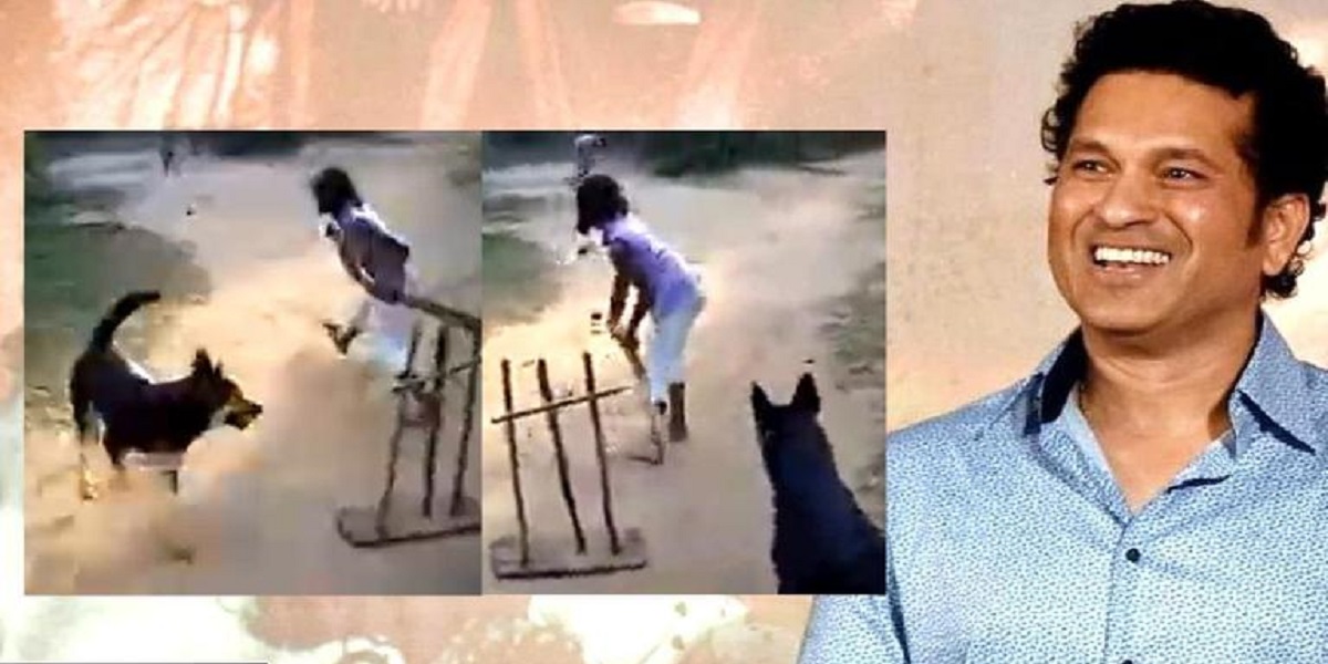 Dog's "sharp catching skill" makes Sachin Tendulkar impressed