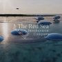 Saudi TRSDC signs deal with Red Sea Farms