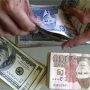 Rupee recovers 11 paisas to dollar at interbank opening