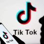 Meet the finfluencers: TikTok’s investment gurus