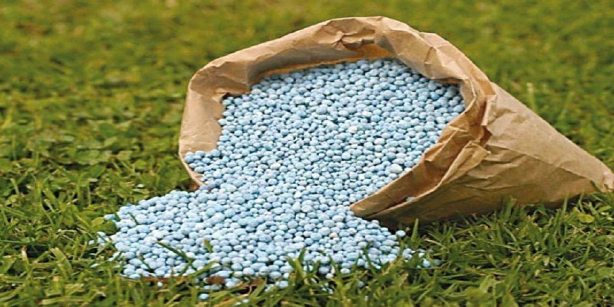 Urea sales surge 5% in November