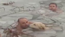 Watch video: Spanish police officer rescued a dog from icy water goes viral