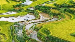 China’s common prosperity boon to world