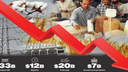 A ticking time bomb; Experts believe SBP’s measures are too little, and too late