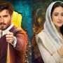 Drama review of Aye Musht-e-Khak staring Feroze Khan, Sana Javed