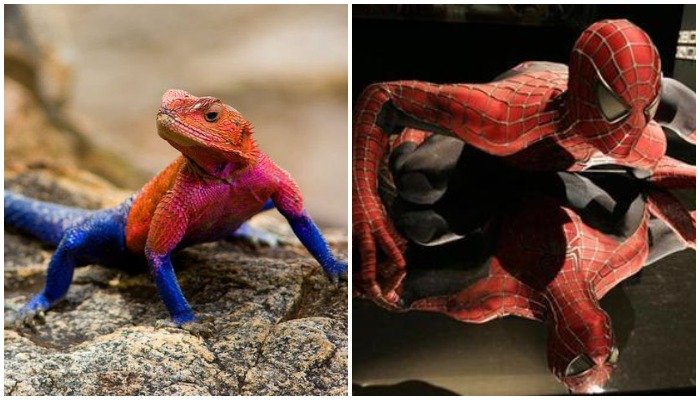Spider-Man lizard