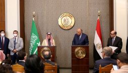 Saudi Arabia, Egypt agree to boost cooperation in maintaining regional security, stability