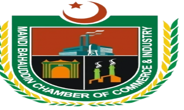 Mandi Bahauddin chamber chief meets minister