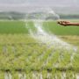 Farmers paying extra Rs600 on urea bag