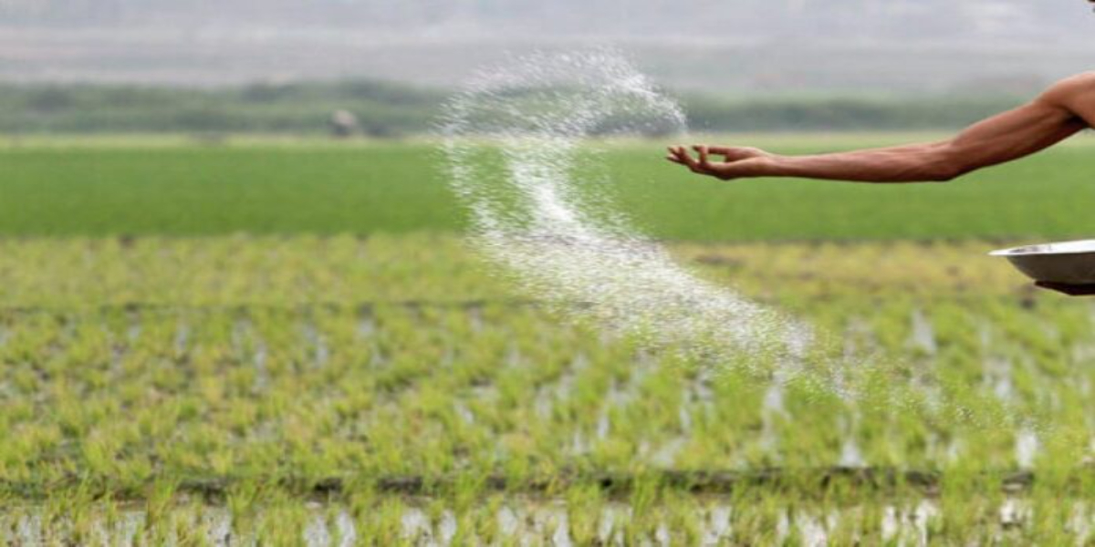 Farmers