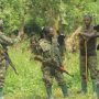 DR Congo, Uganda claim 34 rebels captured, hostages freed