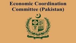 ECC okays $11.6 million for Dasu affected Chinese, export of essential items to Afghanistan