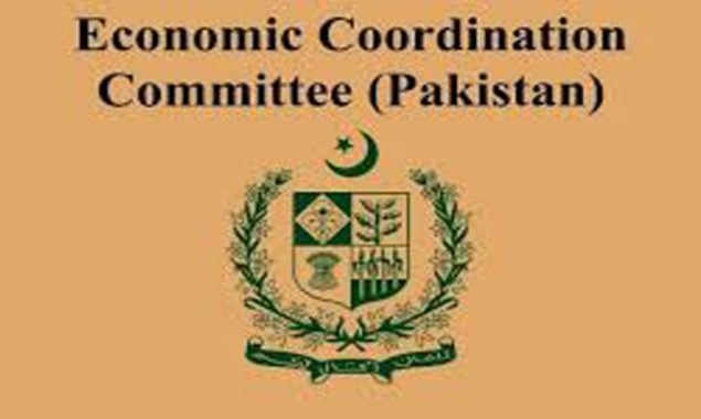 ECC okays $11.6 million for Dasu affected Chinese, export of essential items to Afghanistan