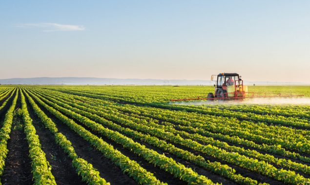 Govt making efforts to raise agricultural production: minister