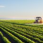 Govt making efforts to raise agricultural production: minister