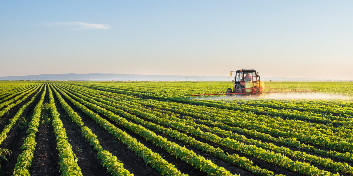 agricultural production