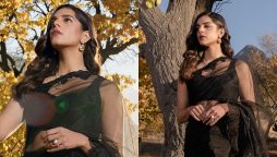 Sanam Saeed looks incredibly sizzling in a black see-through saree