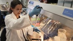 Israeli researchers develop liquid biopsy to test immune system