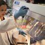 Israeli researchers develop liquid biopsy to test immune system