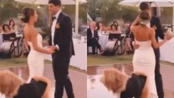 Newlywed Couple pet dog crashes their wedding dance and steals the show