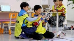 China Focus: Boom in computer programming among Chinese youth