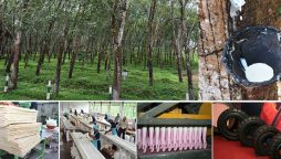 Sri Lanka to triple rubber exports by 2025