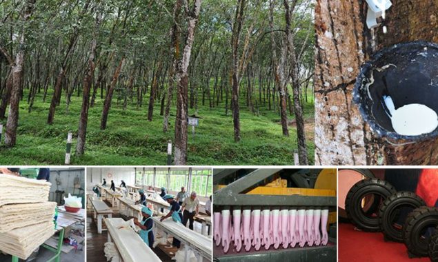 Sri Lanka to triple rubber exports by 2025